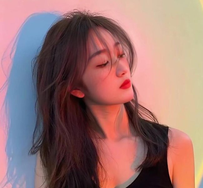 爱丽舍宫的女大厨